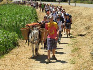 Come-Lavorare-Nello-Slow-Tourism