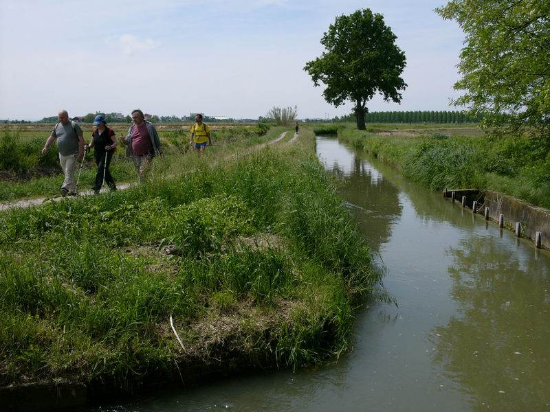 GeMiTo 20 Da Candia Lomellina a Cergnago