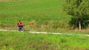 Offrire la ricarica per le e-bike è un buon affare per bar e ristoranti