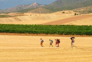 Camminare con il caldo: consigli per non farsi cuocere dal sole (e godersi comunque il viaggio)