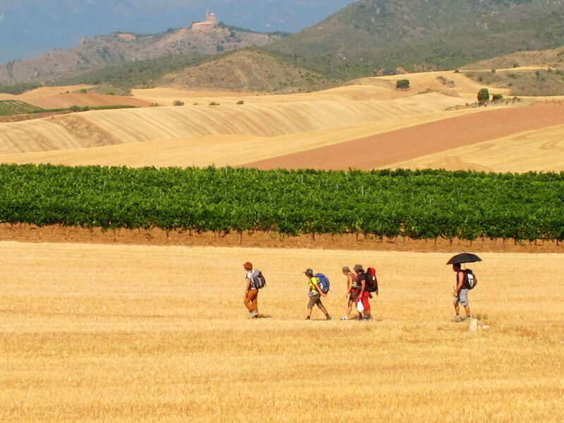 Camminare con il caldo: consigli per non farsi cuocere dal sole (e godersi comunque il viaggio)
